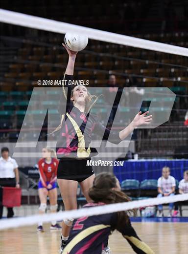 null - Photo 71