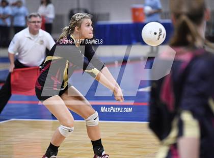 Thumbnail 1 in Palmer Ridge vs. Ponderosa (CHSAA 4A Playoff) photogallery.