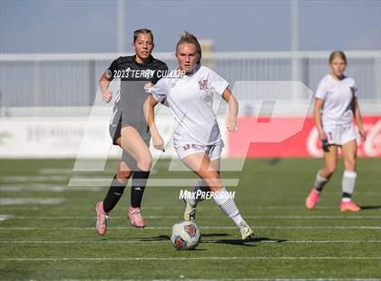 Thumbnail 1 in Canyon View vs. Morgan (UHSAA 3A Semifinal) photogallery.