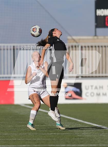 Thumbnail 1 in Canyon View vs. Morgan (UHSAA 3A Semifinal) photogallery.