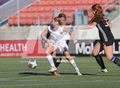 Thumbnail 1 in Canyon View vs. Morgan (UHSAA 3A Semifinal) photogallery.