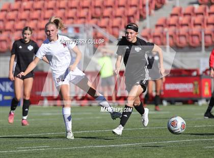Thumbnail 1 in Canyon View vs. Morgan (UHSAA 3A Semifinal) photogallery.