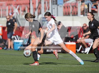 Thumbnail 3 in Canyon View vs. Morgan (UHSAA 3A Semifinal) photogallery.