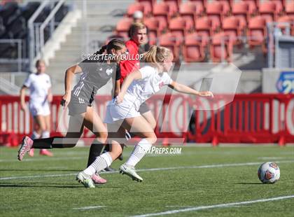 Thumbnail 1 in Canyon View vs. Morgan (UHSAA 3A Semifinal) photogallery.