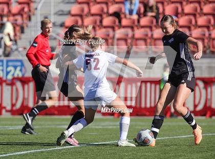 Thumbnail 1 in Canyon View vs. Morgan (UHSAA 3A Semifinal) photogallery.