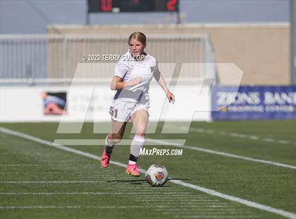 Thumbnail 3 in Canyon View vs. Morgan (UHSAA 3A Semifinal) photogallery.