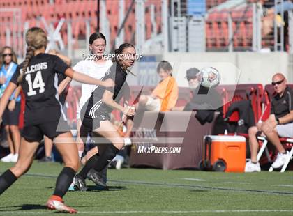 Thumbnail 3 in Canyon View vs. Morgan (UHSAA 3A Semifinal) photogallery.