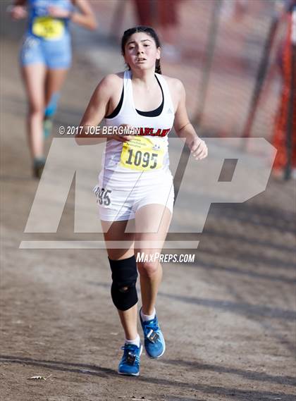 Thumbnail 3 in CIF State Cross Country Championships (Girls D1 Race) photogallery.