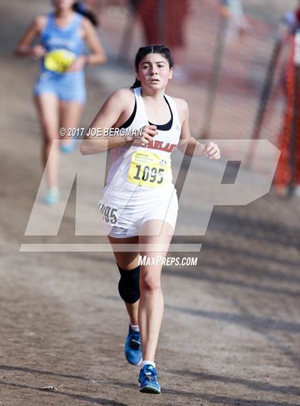 Thumbnail 1 in CIF State Cross Country Championships (Girls D1 Race) photogallery.