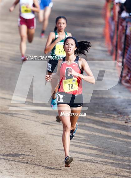 Thumbnail 1 in CIF State Cross Country Championships (Girls D1 Race) photogallery.
