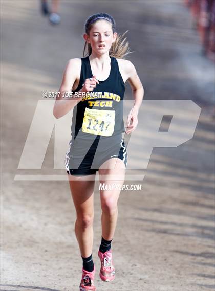 Thumbnail 1 in CIF State Cross Country Championships (Girls D1 Race) photogallery.