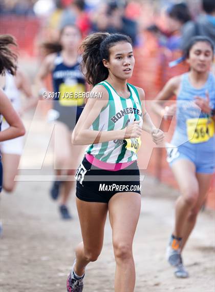 Thumbnail 2 in CIF State Cross Country Championships (Girls D1 Race) photogallery.