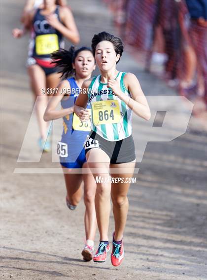 Thumbnail 2 in CIF State Cross Country Championships (Girls D1 Race) photogallery.