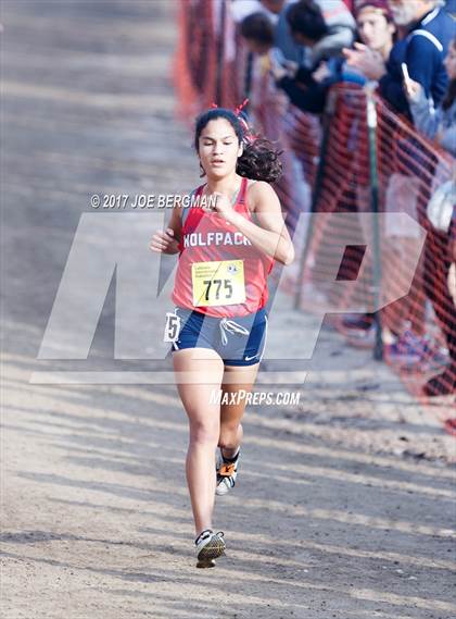 Thumbnail 3 in CIF State Cross Country Championships (Girls D1 Race) photogallery.