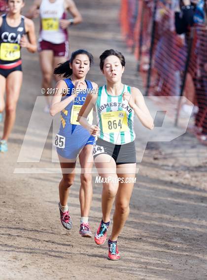 Thumbnail 2 in CIF State Cross Country Championships (Girls D1 Race) photogallery.