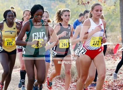 Thumbnail 3 in CIF State Cross Country Championships (Girls D1 Race) photogallery.
