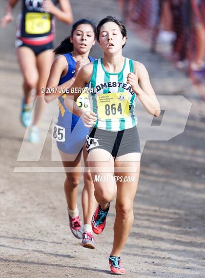Thumbnail 1 in CIF State Cross Country Championships (Girls D1 Race) photogallery.