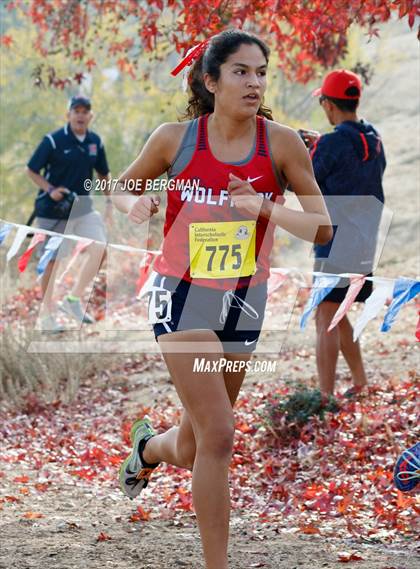 Thumbnail 1 in CIF State Cross Country Championships (Girls D1 Race) photogallery.