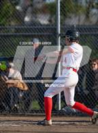 Photo from the gallery "West Albany @ South Albany"