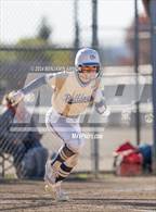 Photo from the gallery "West Albany @ South Albany"