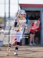 Photo from the gallery "West Albany @ South Albany"