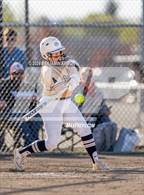 Photo from the gallery "West Albany @ South Albany"