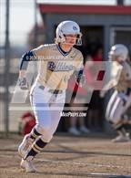 Photo from the gallery "West Albany @ South Albany"