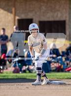 Photo from the gallery "West Albany @ South Albany"
