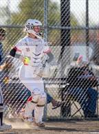 Photo from the gallery "West Albany @ South Albany"