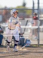 Photo from the gallery "West Albany @ South Albany"