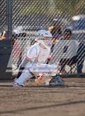Photo from the gallery "West Albany @ South Albany"