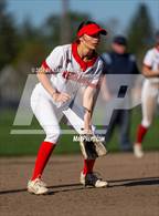 Photo from the gallery "West Albany @ South Albany"