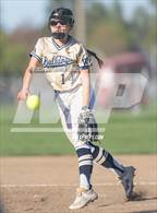 Photo from the gallery "West Albany @ South Albany"