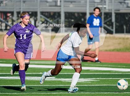 Thumbnail 2 in Jay @ Boerne photogallery.