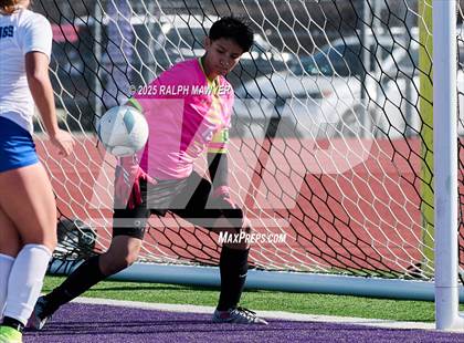 Thumbnail 2 in Jay @ Boerne photogallery.