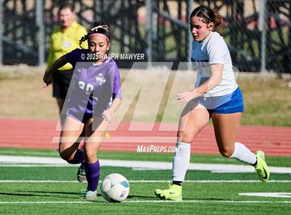 Thumbnail 2 in Jay @ Boerne photogallery.