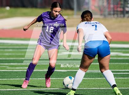 Thumbnail 3 in Jay @ Boerne photogallery.
