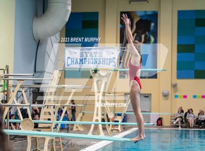 Thumbnail 3 in CHSAA 3A Girls Diving - State Championship photogallery.
