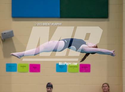 Thumbnail 1 in CHSAA 3A Girls Diving - State Championship photogallery.