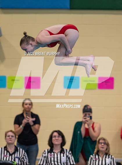 Thumbnail 1 in CHSAA 3A Girls Diving - State Championship photogallery.