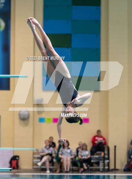 Thumbnail 1 in CHSAA 3A Girls Diving - State Championship photogallery.