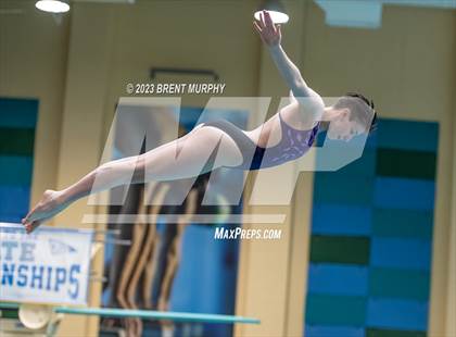 Thumbnail 2 in CHSAA 3A Girls Diving - State Championship photogallery.