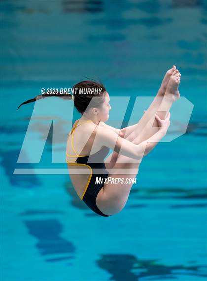 Thumbnail 1 in CHSAA 3A Girls Diving - State Championship photogallery.