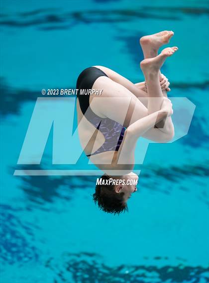 Thumbnail 2 in CHSAA 3A Girls Diving - State Championship photogallery.