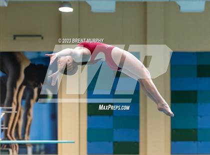 Thumbnail 1 in CHSAA 3A Girls Diving - State Championship photogallery.