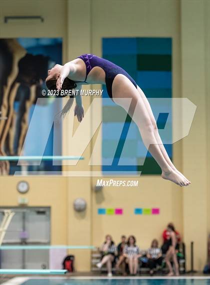 Thumbnail 1 in CHSAA 3A Girls Diving - State Championship photogallery.