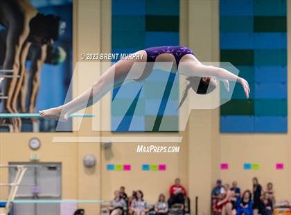 Thumbnail 3 in CHSAA 3A Girls Diving - State Championship photogallery.