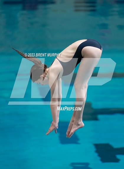 Thumbnail 1 in CHSAA 3A Girls Diving - State Championship photogallery.
