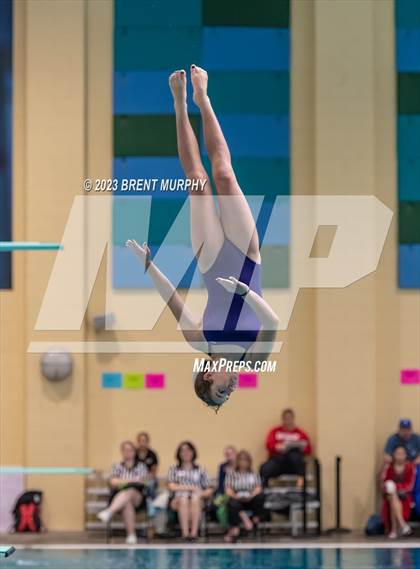 Thumbnail 1 in CHSAA 3A Girls Diving - State Championship photogallery.