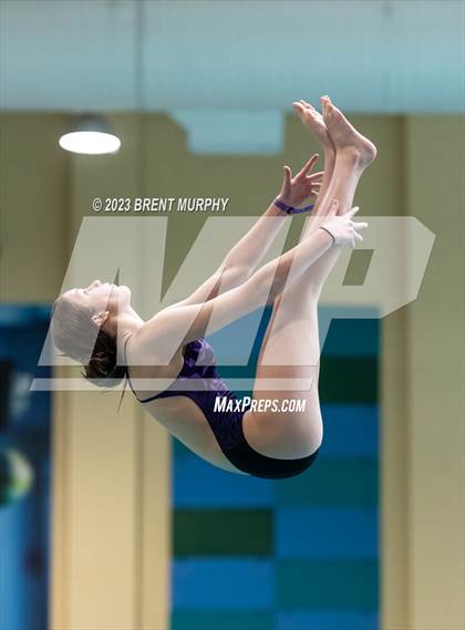 Thumbnail 3 in CHSAA 3A Girls Diving - State Championship photogallery.